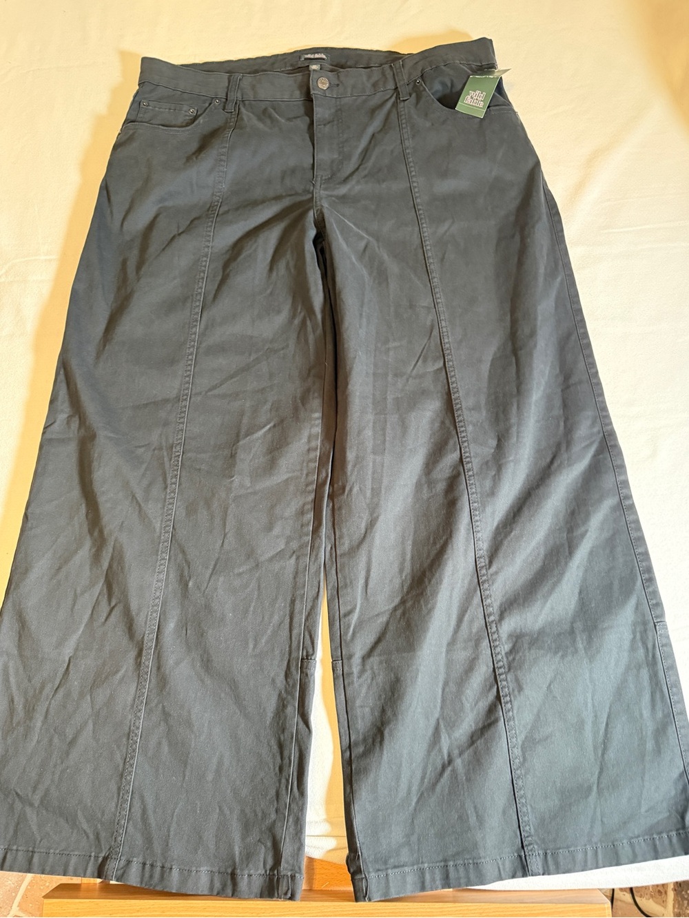 Wild Fable Women’s Black Wide-Leg Utility Pants NWT XXL